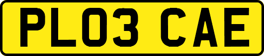 PL03CAE