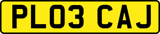 PL03CAJ