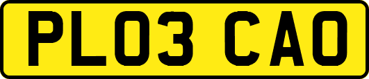 PL03CAO