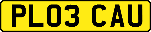 PL03CAU