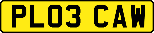 PL03CAW