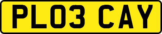 PL03CAY