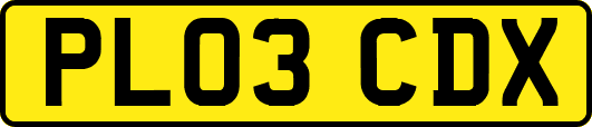 PL03CDX