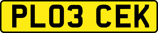 PL03CEK