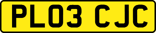 PL03CJC