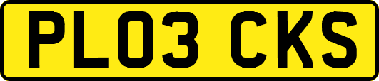 PL03CKS