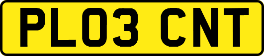 PL03CNT