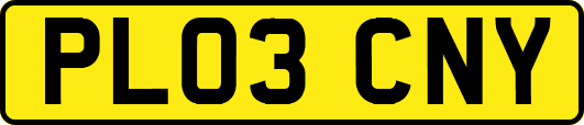 PL03CNY