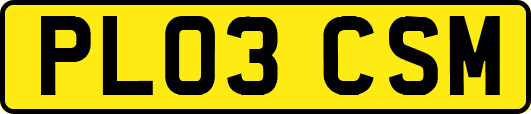 PL03CSM