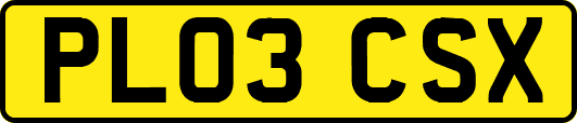 PL03CSX
