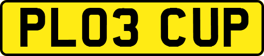 PL03CUP