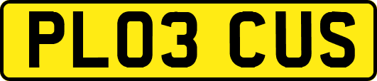 PL03CUS