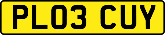 PL03CUY