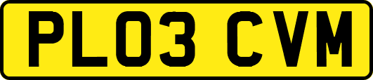 PL03CVM