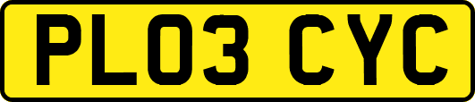 PL03CYC