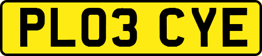 PL03CYE