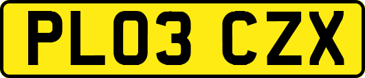 PL03CZX