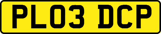 PL03DCP
