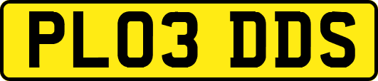 PL03DDS