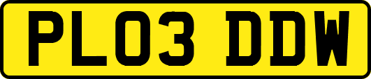 PL03DDW