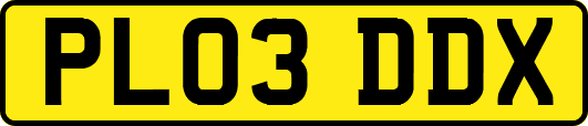 PL03DDX