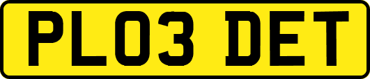 PL03DET