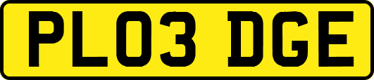 PL03DGE