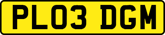 PL03DGM