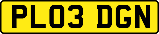 PL03DGN