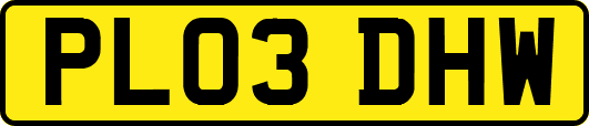 PL03DHW