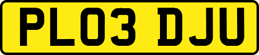 PL03DJU