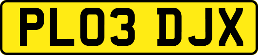 PL03DJX