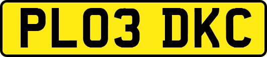 PL03DKC