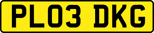 PL03DKG
