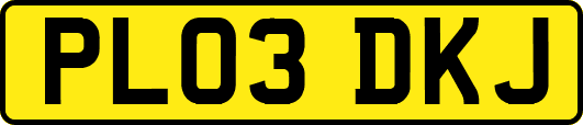 PL03DKJ