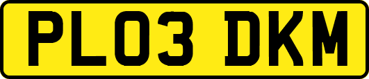 PL03DKM