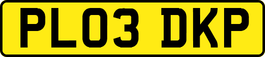PL03DKP