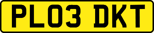 PL03DKT