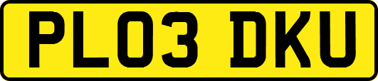 PL03DKU