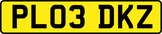 PL03DKZ