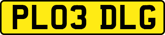 PL03DLG