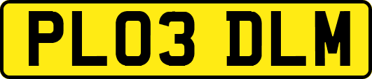 PL03DLM