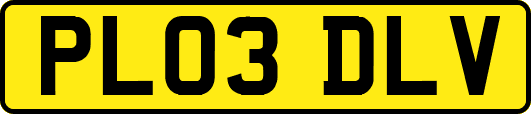 PL03DLV