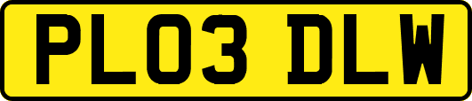 PL03DLW