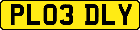 PL03DLY