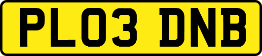 PL03DNB