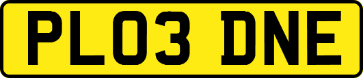 PL03DNE