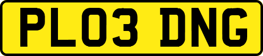 PL03DNG