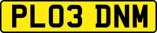 PL03DNM