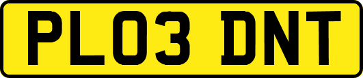 PL03DNT